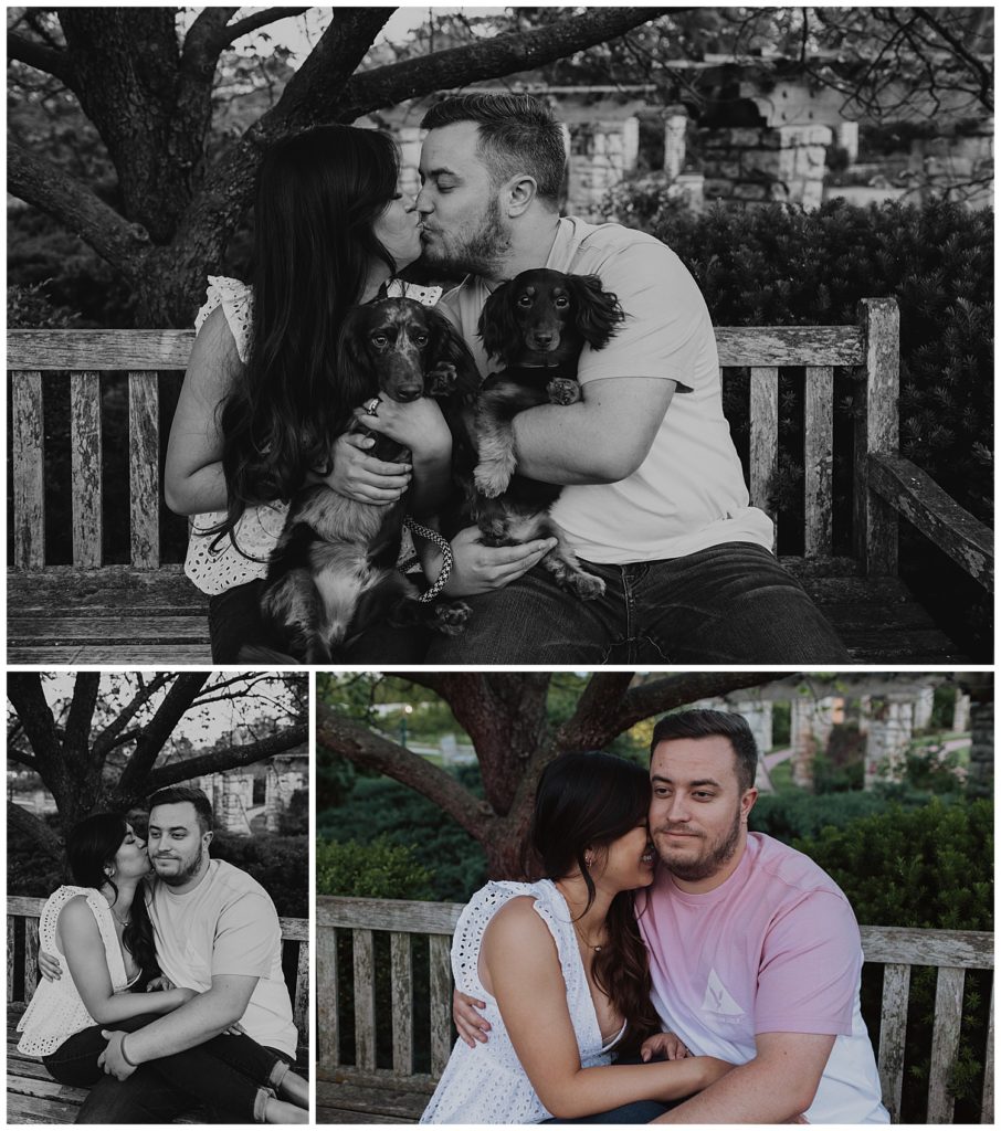 5 tips for including your dog in your engagement photos